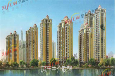 善南街道善南鞠庄自建1室1厅1卫240平米